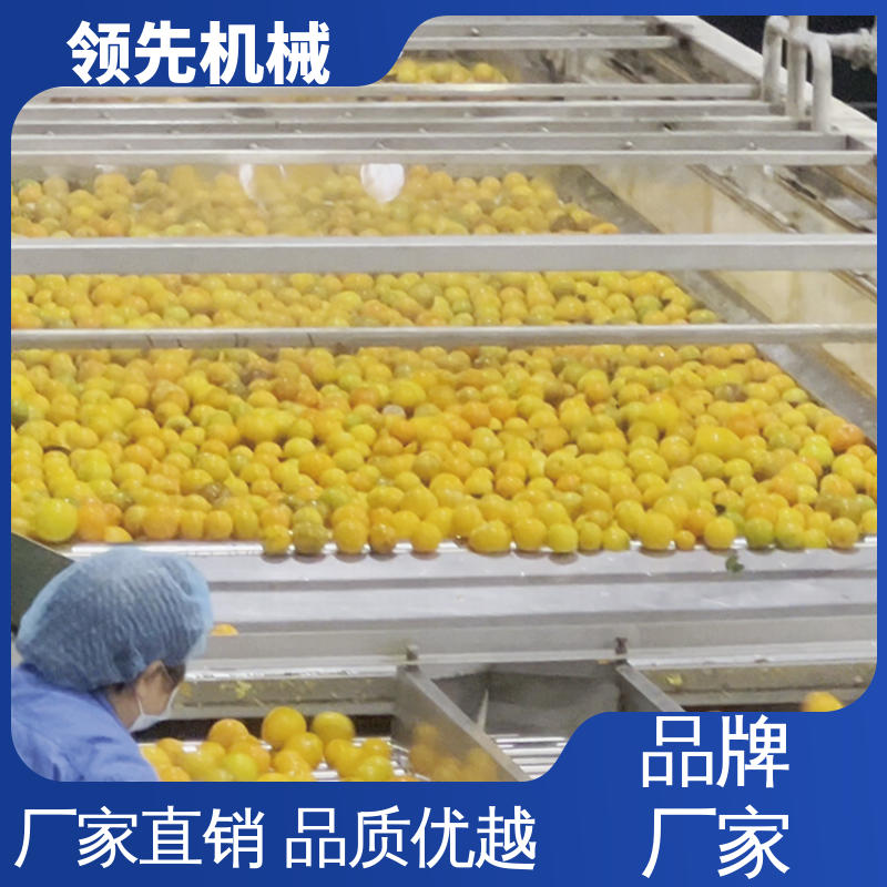 全自动 柑橘脐橙 果汁设备 水果加工生产线 产量大、效率高
