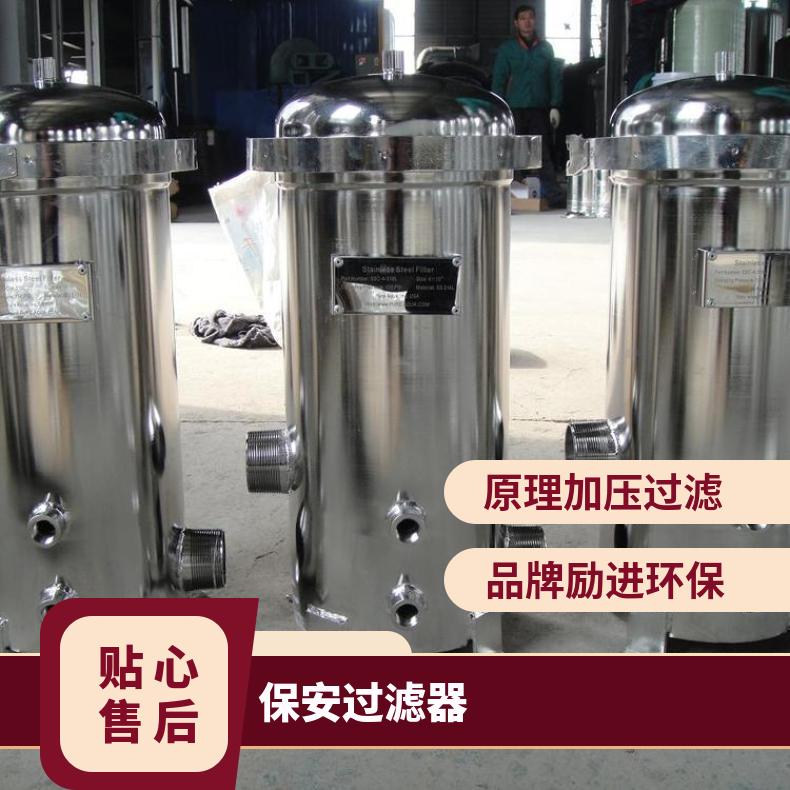 保安精密过滤器 法兰连接 LJJM-100 不锈钢 可更换 励进环保 橡胶