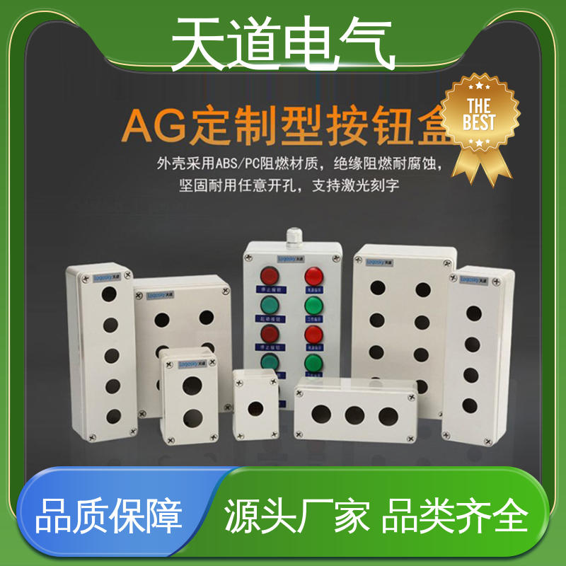 合理设计 精细实用 耐寒阻燃 AG定制型按钮盒 天道电气