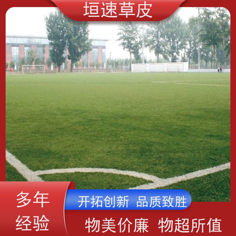 垣速草坪 学校足球场改造防腐耐磨 足球场地坪翻新 人造草网球场
