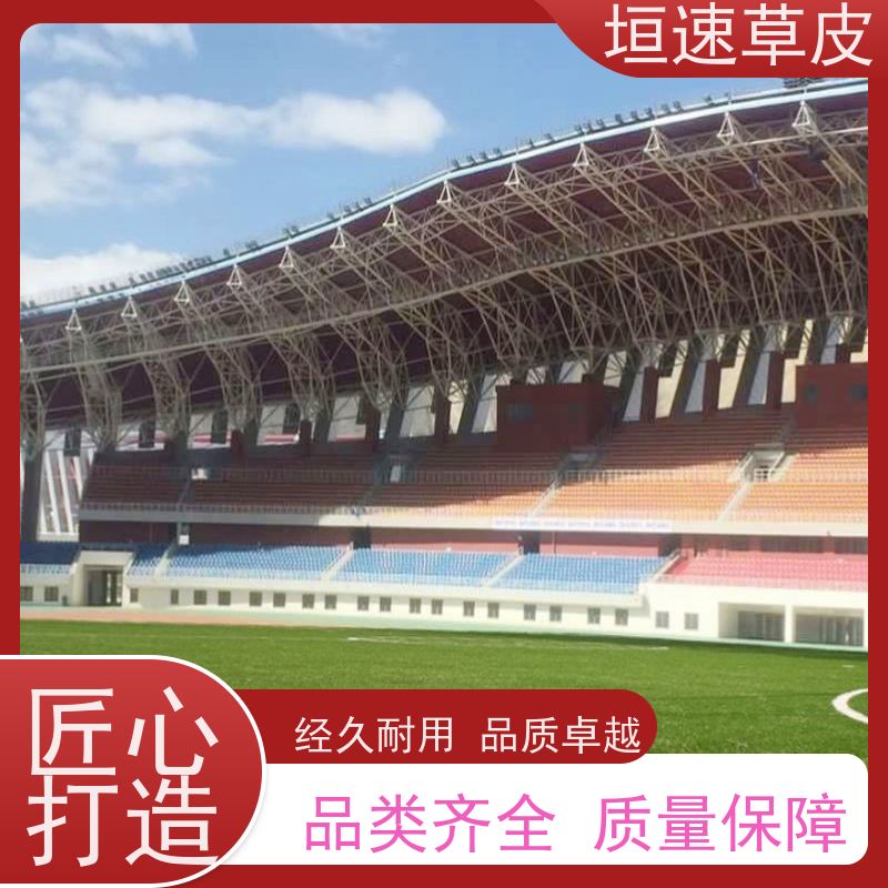 垣速草坪 建设足球场工程 七人制足球场建造支持定制 人造足球场草皮