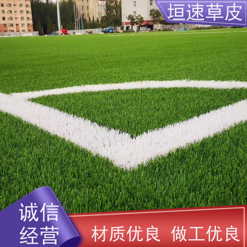 垣速草坪 笼式足球场地建设 足球场的建设回弹率好 塑料仿真草坪