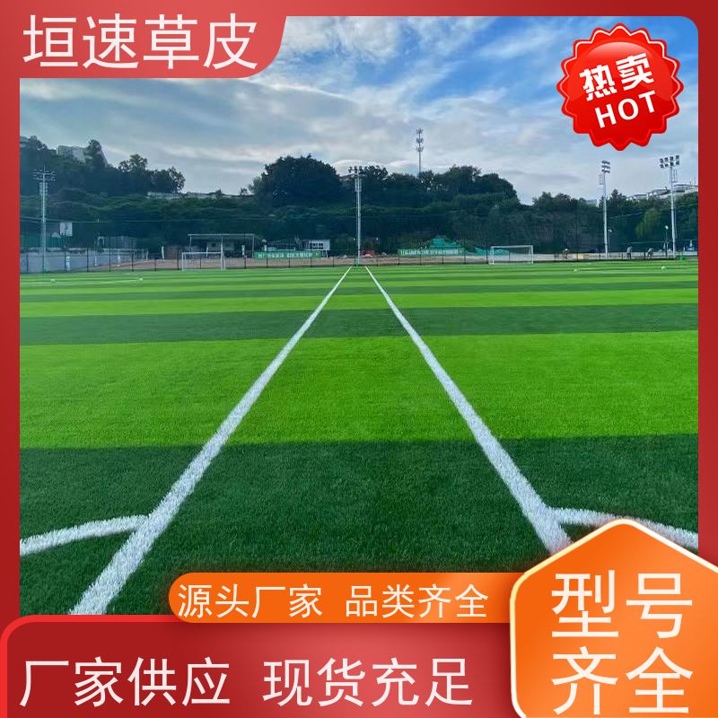 垣速 足球场装修吸震性能好 加密人造草坪造价 常州足球场草坪翻修