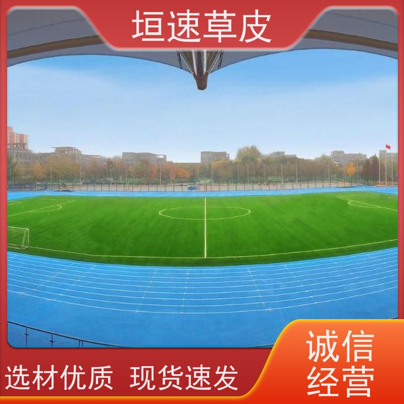 垣速 学校建设足球场舒适度高 学校球场草坪上门施工 嘉兴足球场修建