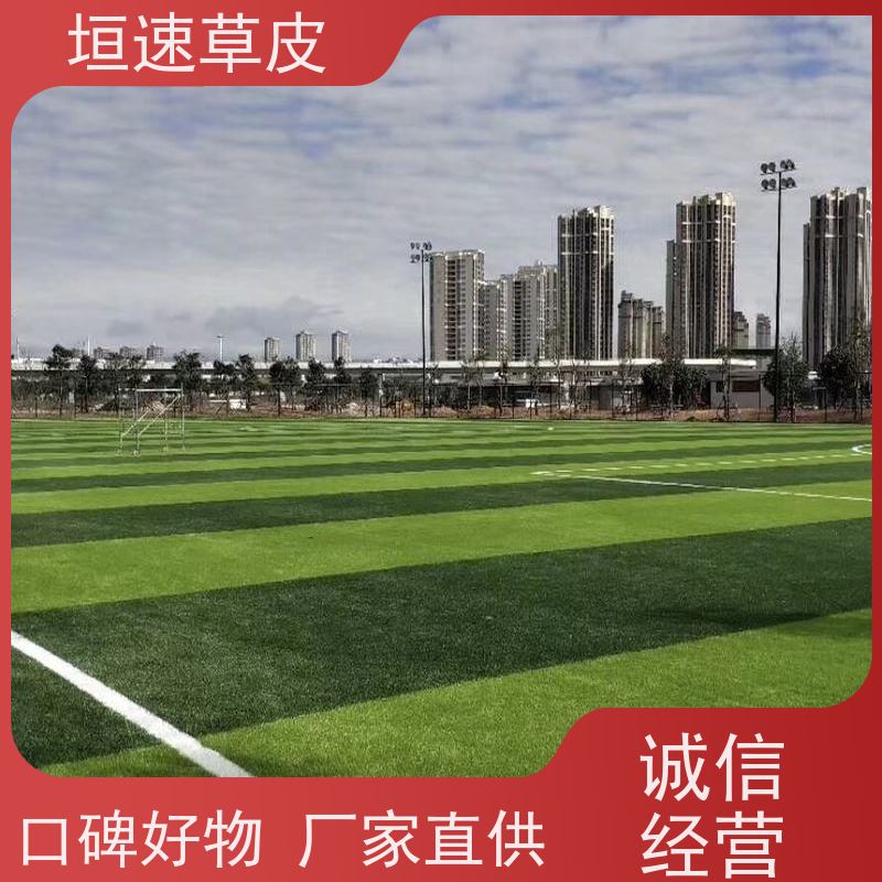垣速草坪 建设足球场地 五人制足球场修建多色可选 学校球场草坪