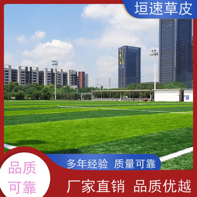 垣速草坪 足球场建设设施 建五人制足球场现货出售 学校足球场草皮