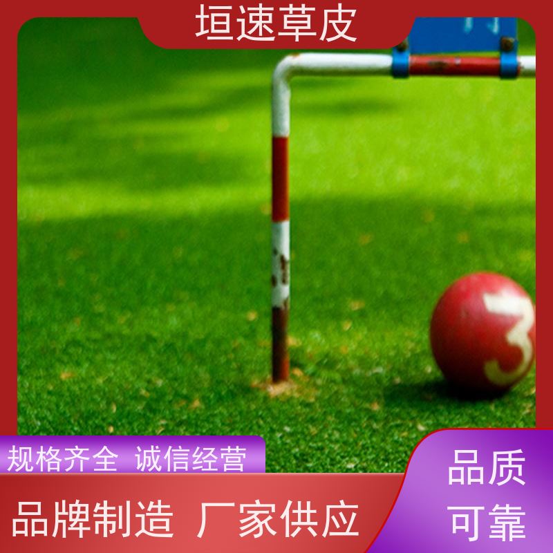 垣速草坪 楼顶建足球场使用范围广 网球场人造草坪 足球场施工建设