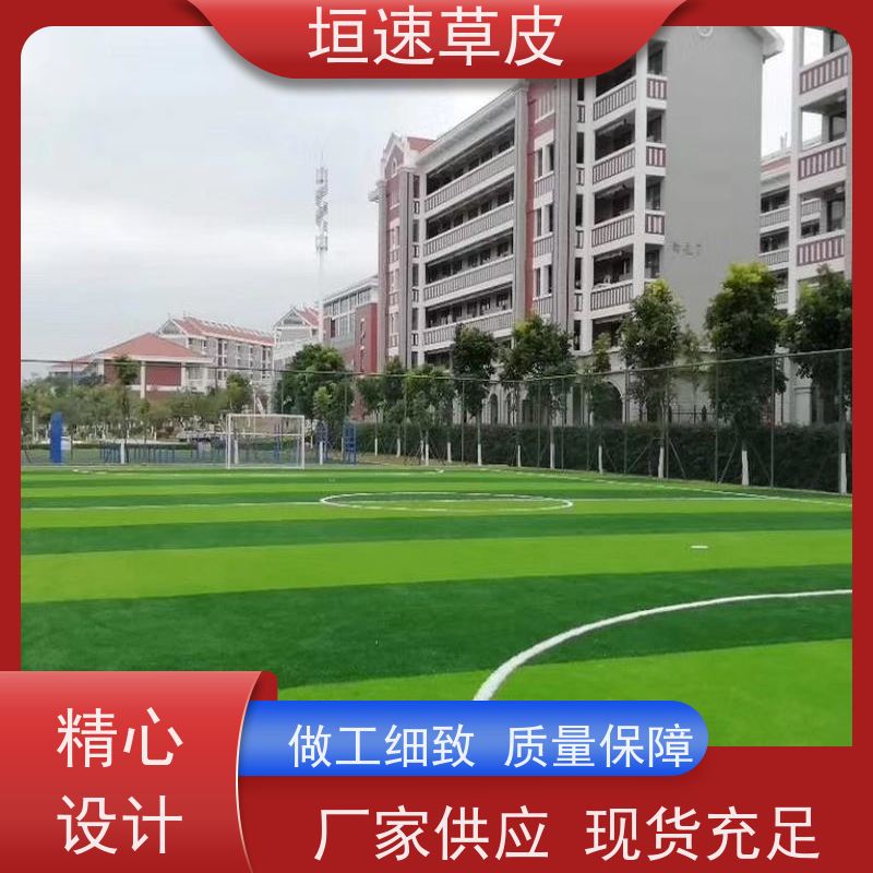 垣速草坪 建设五人制足球场 足球场地建设舒适度好 橄榄球人造草坪