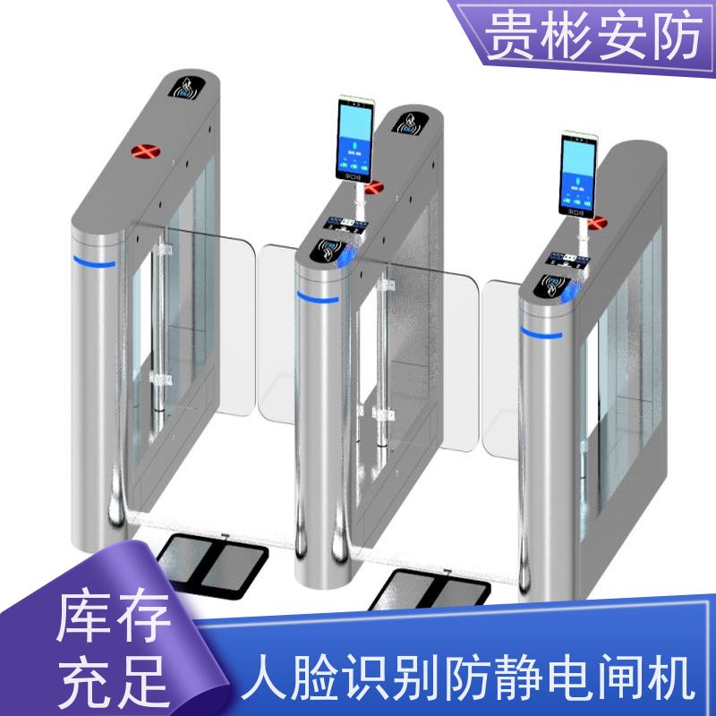 贵彬安防 esd门禁系统一体机 防静电摆闸 运行稳定 品质可信