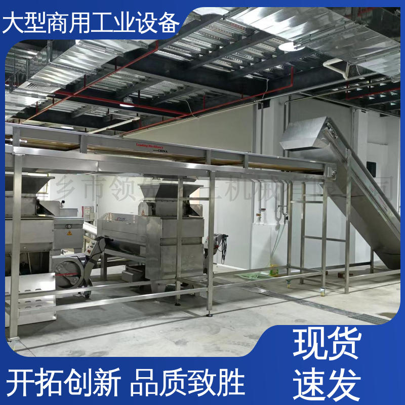 工业 大量水果快速脱核器 颠橄榄去核机 全自动，处理果核干净 油甘子