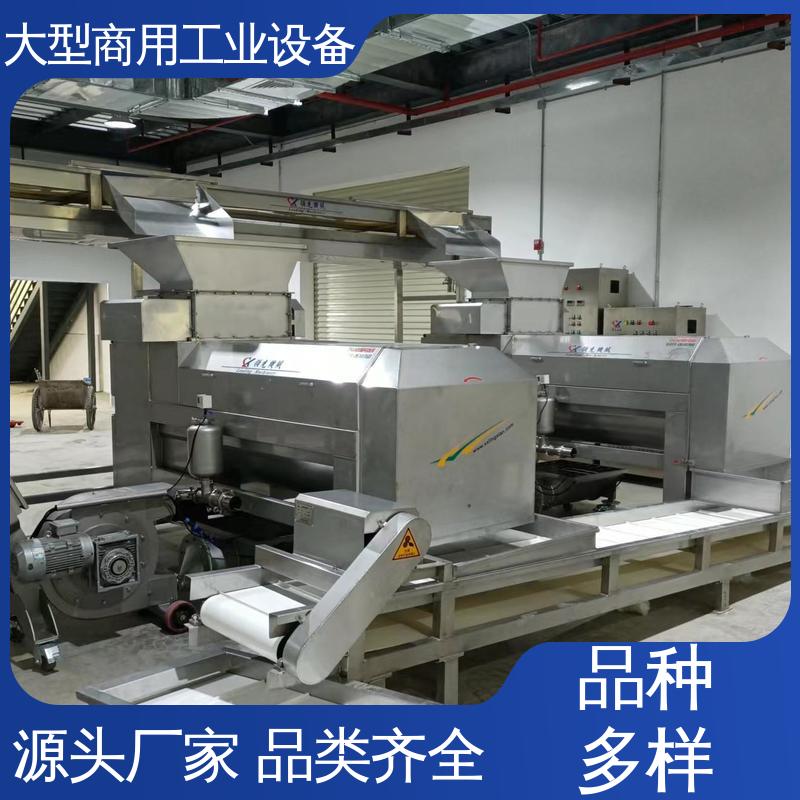 工业 不伤果核 颠橄榄去核机 大量水果快速脱核器 油甘子