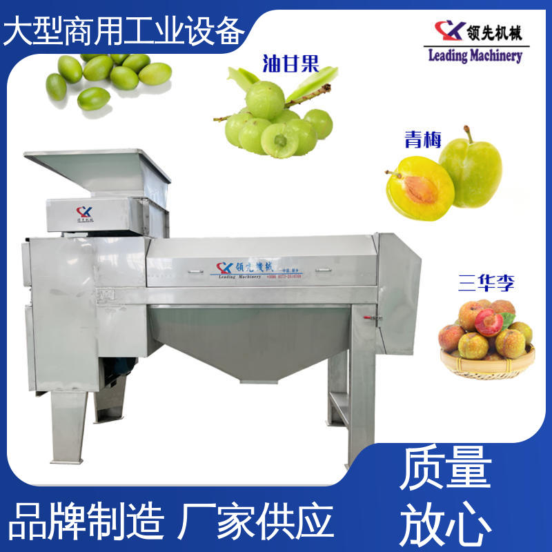 工业化 去核机 产量大，无须分级 不伤果核 油甘子去核榨汁机