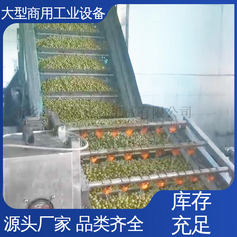 工业 全自动，处理果核干净 产量大，无须分级 油甘子 颠橄榄去核机