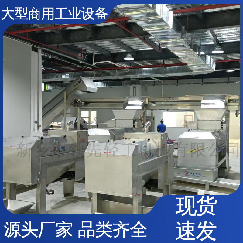 全自动，处理果核干净 大量水果快速脱核器 颠橄榄去核机 工业