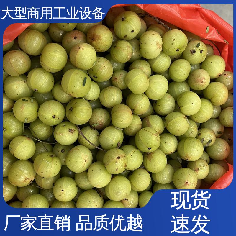 油甘子 不伤果核 去核榨汁机 大量水果快速脱核器 工业