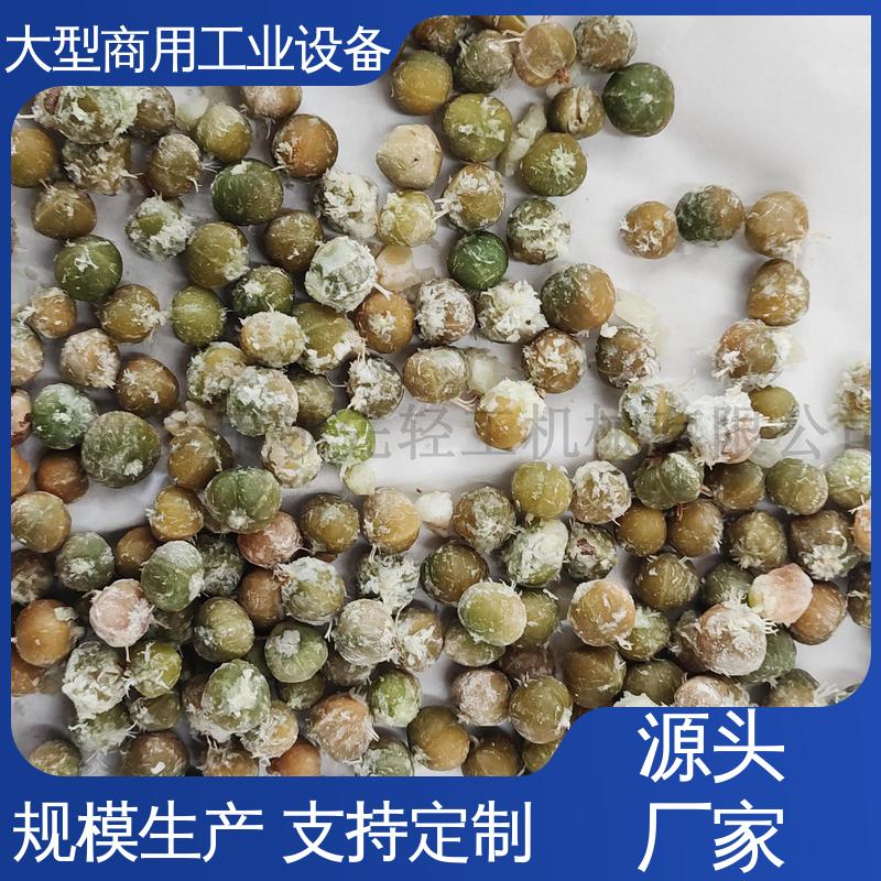 破碎去核机 大量水果快速脱核器 不伤果核 工业