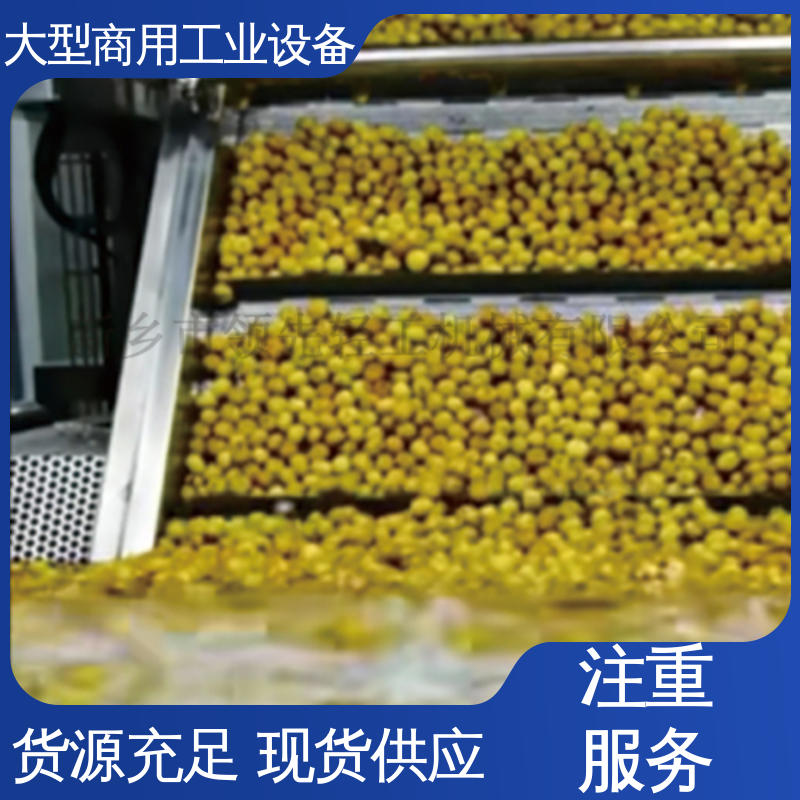 工业 全自动，处理果核干净 破碎去核机 油甘子 大量水果快速脱核器