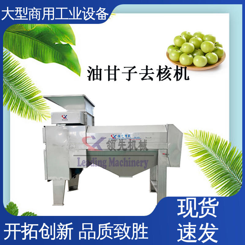 大量水果快速脱核器 全自动，处理果核干净 去核榨汁机 工业