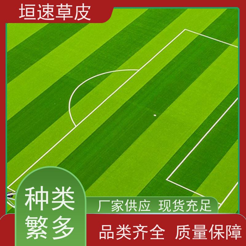 垣速草坪 笼式足球场建造弹性防滑 羽毛球场人工草皮 标准门球场建设