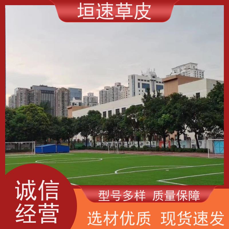 垣速草坪 建设足球场工程 足球场地改造舒适度高 景观人造草坪