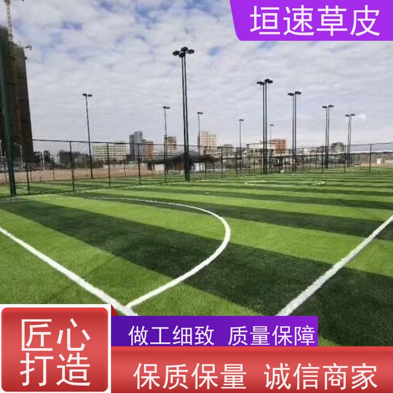 垣速草坪 建五人制足球场现货出售 篮球场塑料草坪 足球场装修