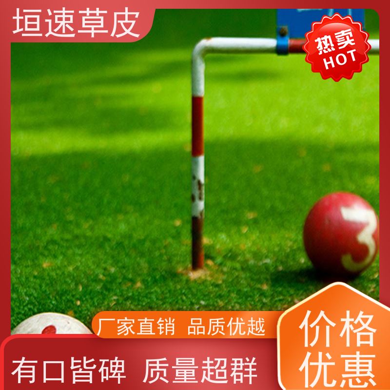 垣速草坪 笼式足球场地建设 笼式足球场建造弹性防滑 运动足球场草坪