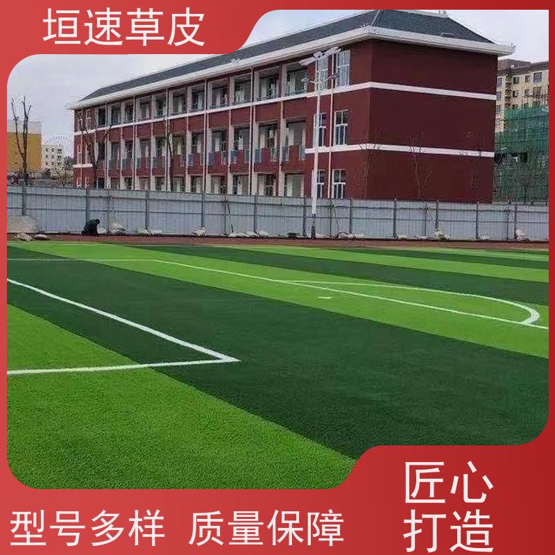 垣速 湖州棒球场草坪铺设 足球场装修吸震性能好 网球场草皮材料成本