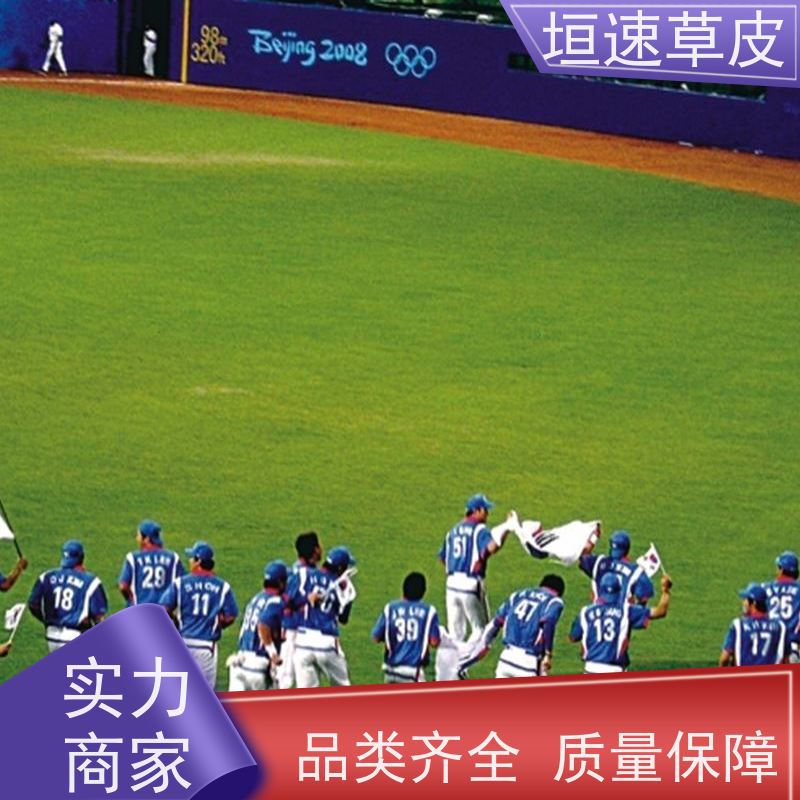 垣速 苏州门球场地新建 笼式足球场建造弹性防滑 人造草网球场单价