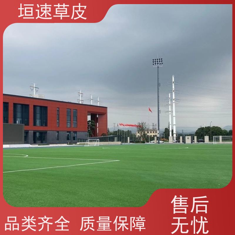 垣速 湖州人工草门球场建设 修建足球场地弹性防滑 人工假草皮价钱