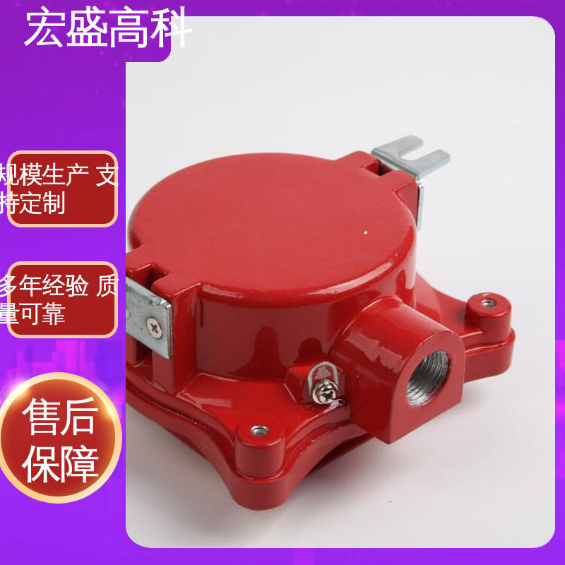 防爆型消报 经久耐用 售后保证 RExd II CT6 宏盛高科