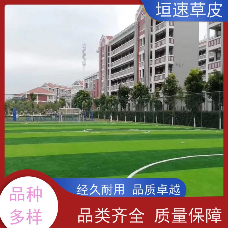 垣速草坪 足球场改造设计一站式服务 室外塑料草坪 学校足球场建设