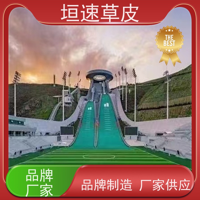 垣速 江苏修建门球场 足球场草坪翻新按需定制 塑料草坪厂家施工工艺