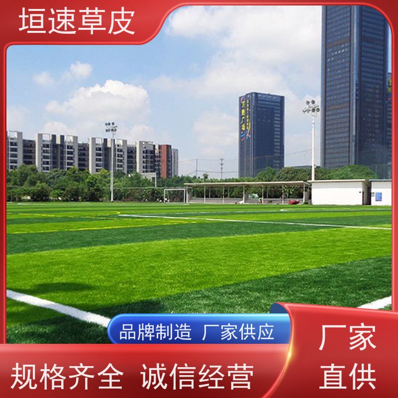 垣速 宁波门球场建设 足球场地建设舒适度好 仿真塑料草坪上门安装