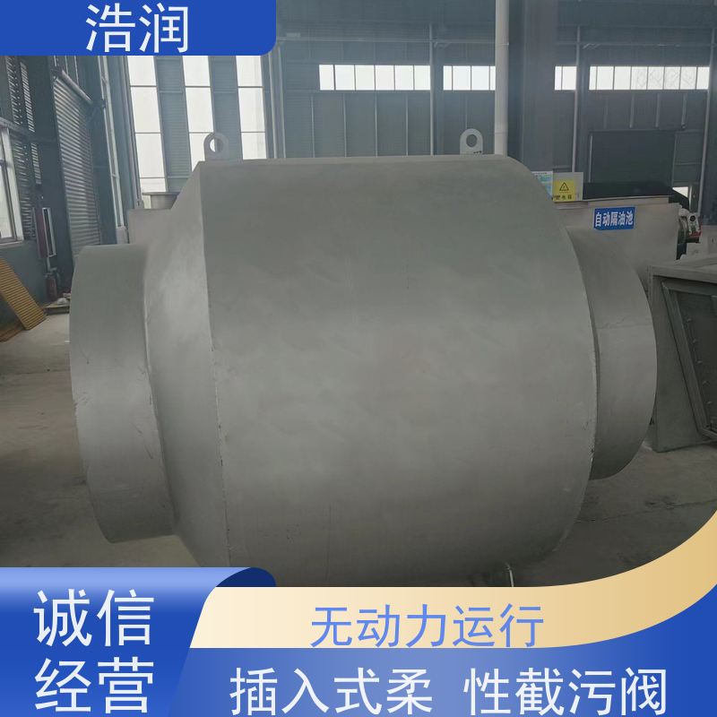 浩润 全国供应 防倒灌器 优选材料 持久耐用 可定制