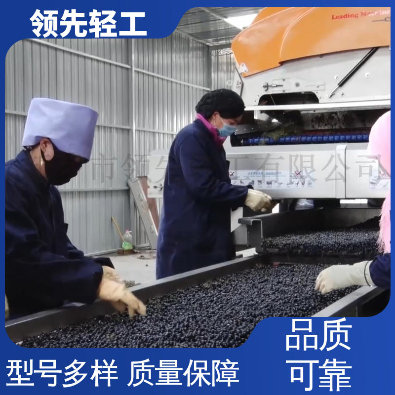专业制造 葡萄 去梗机 脱梗粒选效率高，速度快 引进国外技术设计而成