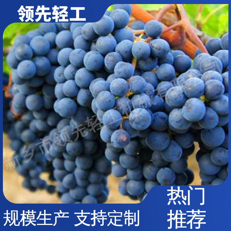 专业制造 葡萄 去梗机 脱梗粒选效率高，速度快 技术成熟