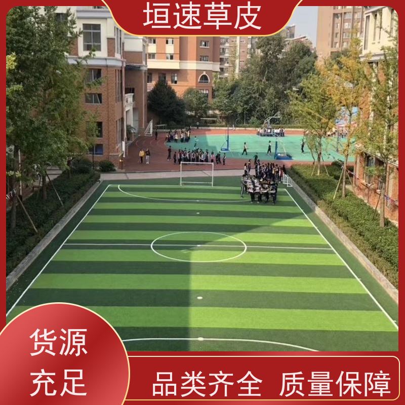 垣速 苏州足球场搭建 门球场场地工程承载力强 足球场地草皮专卖厂家