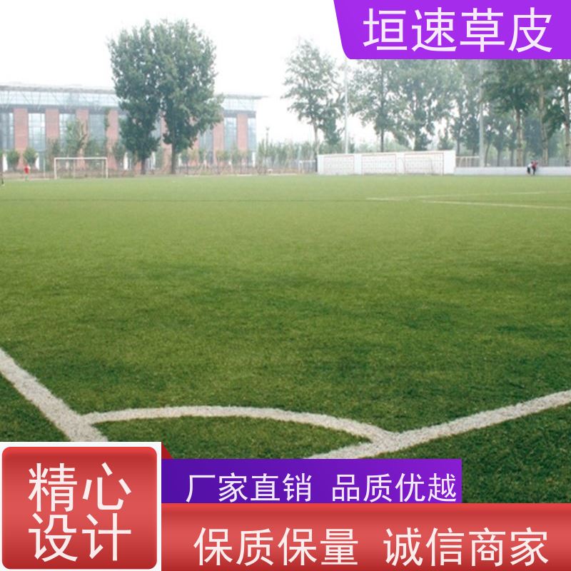 垣速 上海门球场制作 足球场地坪翻新防腐耐磨 人造草网球场单价