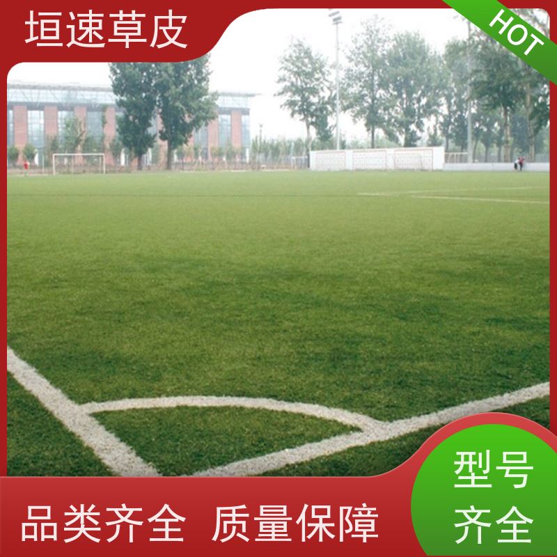 垣速 上海门球场制作 足球场施工建设新国标 足球场专用草皮维护方法