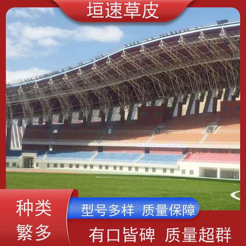 垣速 学校足球场改造防腐耐磨 篮球场草坪施工队 浙江网球场草坪安装