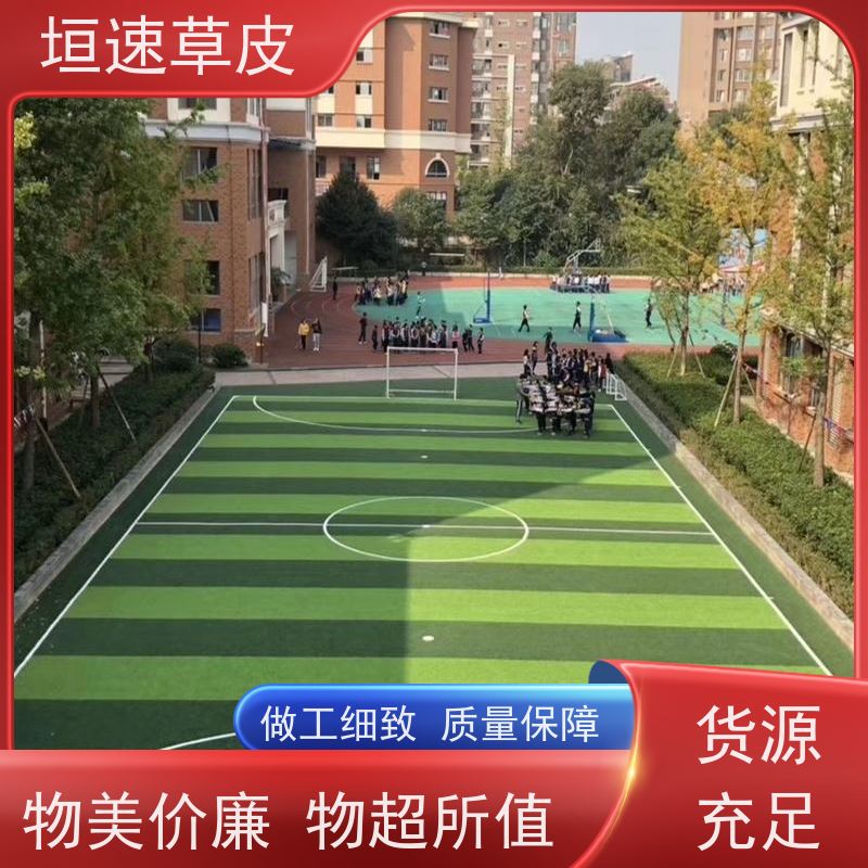 垣速 足球场的建设回弹率好 人工草皮球场地面处理 上海足球场翻建