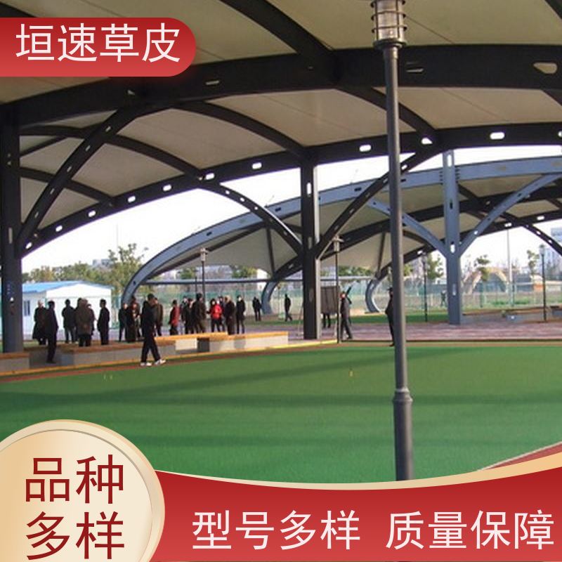 垣速 常州足球场草坪翻修 建设足球场草坪环保认证 篮球场草坪施工队