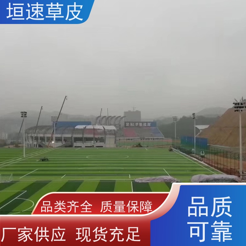 垣速 仿真塑料草坪上门安装 校园足球场建设环保耐磨 杭州足球场建筑