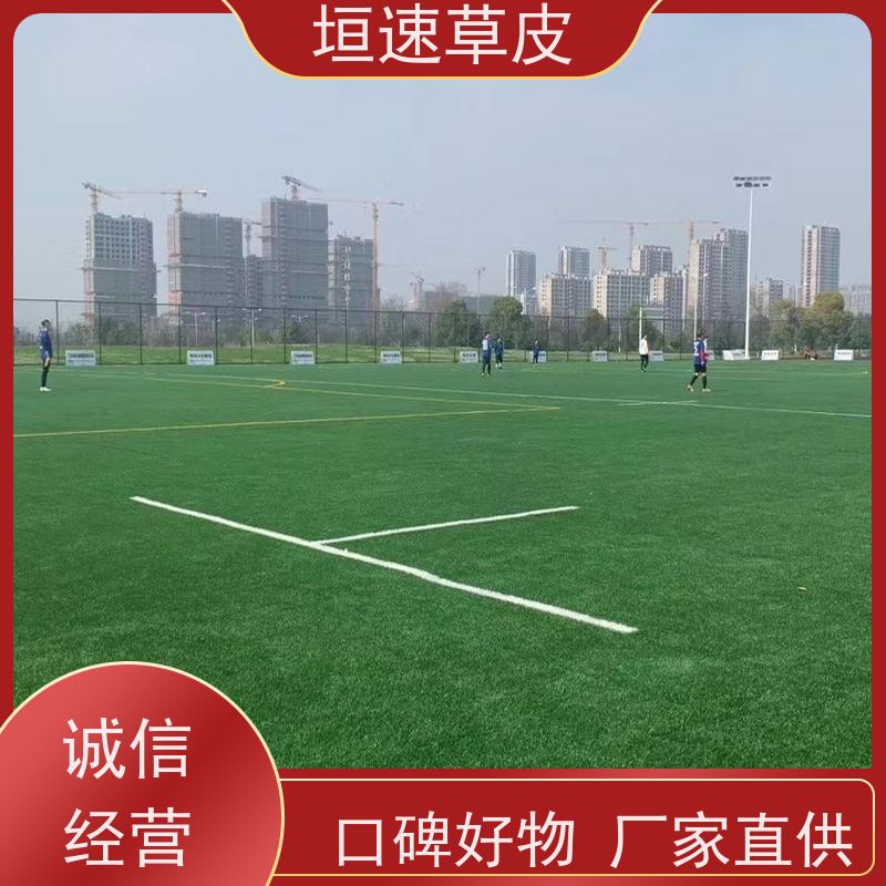 垣速 校园足球场建设环保耐磨 人工假草皮价钱 湖州棒球场草坪铺设