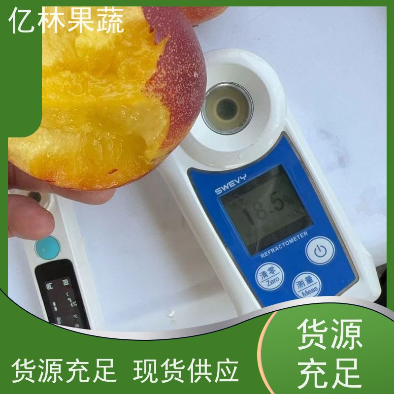 亿林果蔬油桃万亩果园现摘现发单果重80g一级品种口感脆甜
