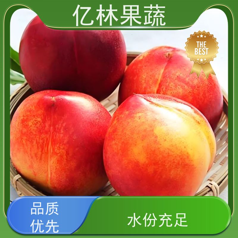 中油16号 农户种植培育 亿林果蔬 珍珠枣油桃桃树苗 服务优良