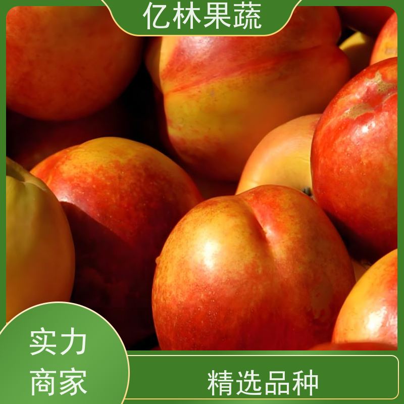 水蜜桃 突围桃 春雪桃 露天桃 口感甜脆 清香可口 油桃市场 