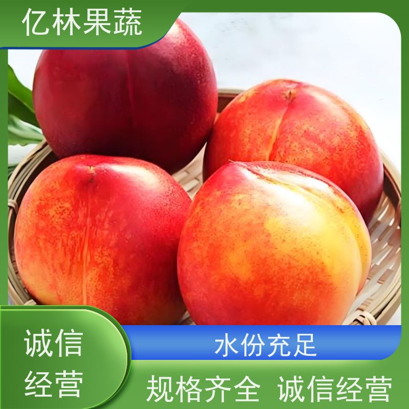 中油48号 新鲜早熟油桃 黄色果肉 脆甜多汁 全国直供