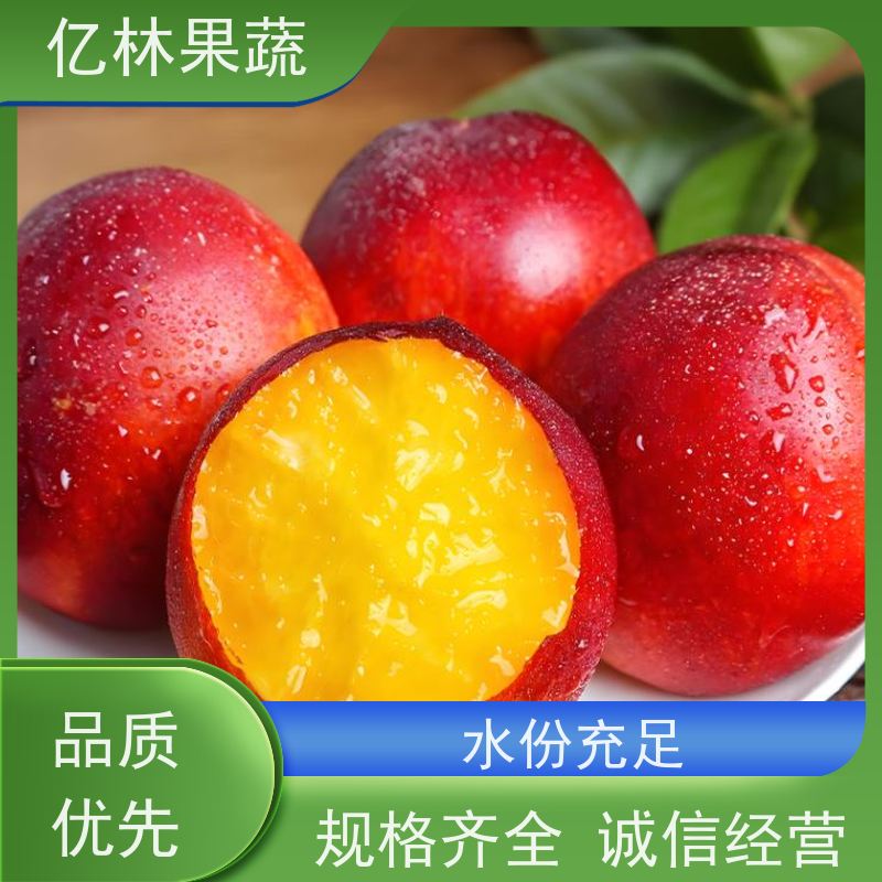 新鲜红皮黄肉油桃 精品现摘水果 全国发货 精美包装
