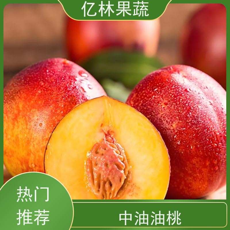 精品油桃 桃子 批 发 订购 新品种 全新供应 亿林果蔬